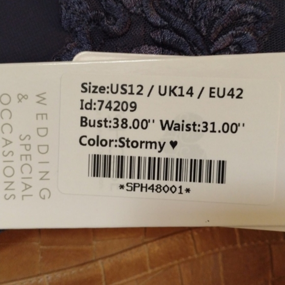 Chiffon Mother of the bride, bridesmaids, or Special Occasion dress. - Picture 6 of 6